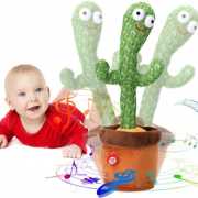 CACTUS TOYS